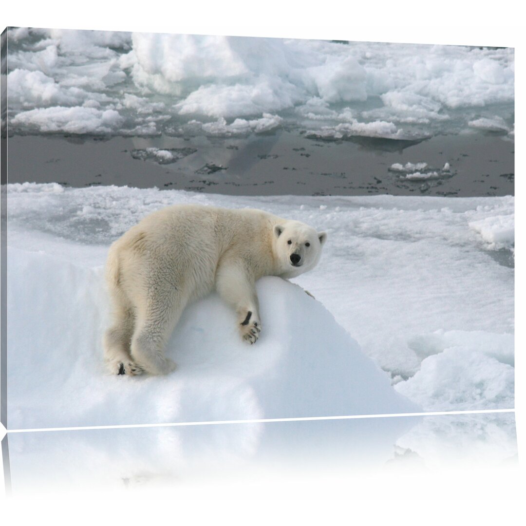 Poster „Schöner Eisbär auf kleinem Eisberg" von martha de jong-lantink, Fotodruck