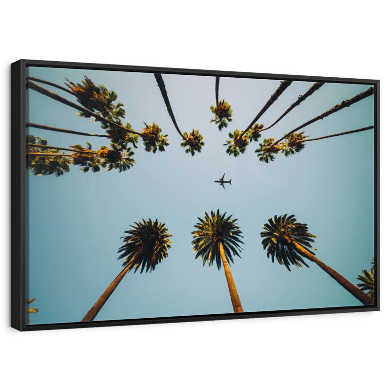 Avion sous les palmiers, Cadre flottant noir, 37 po x 25 po