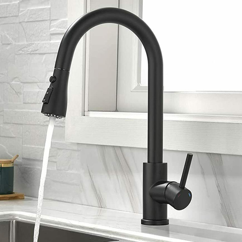 Belfry Kitchen Larsen Pull Out Kitchen Faucet