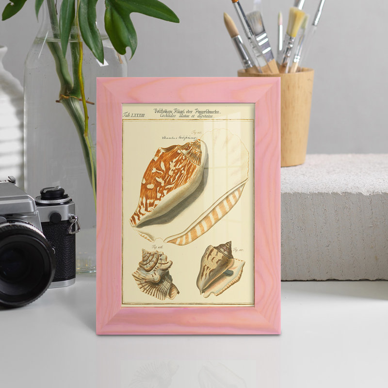 Coquilles de martini antique III sur papier, H 8 po x l 6 po x P 1 po, Rose