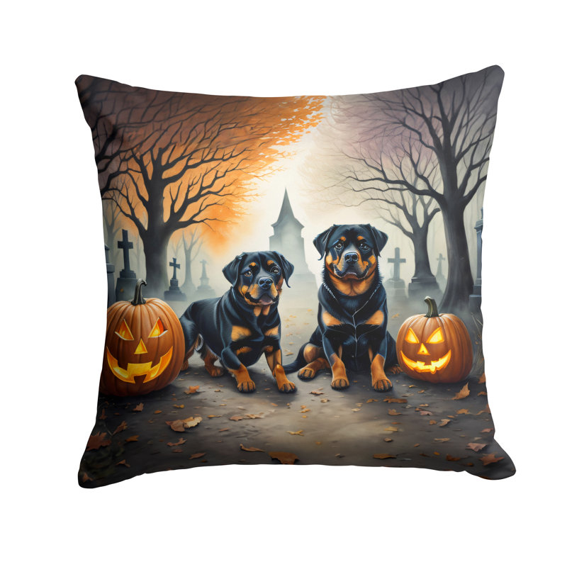 Other/No Pattern Outdoor Throw Pillow, 18" x 18"