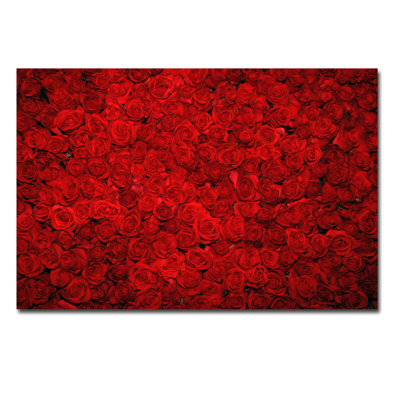 Bed Of Roses Print, 30" H x 40" W x 1.5" D