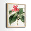 Impression encadrée FloraOf TheTropicsI-Premium - prête à être accrochée - aucun clou requis - aucun clou requis-1495708585-1495708584