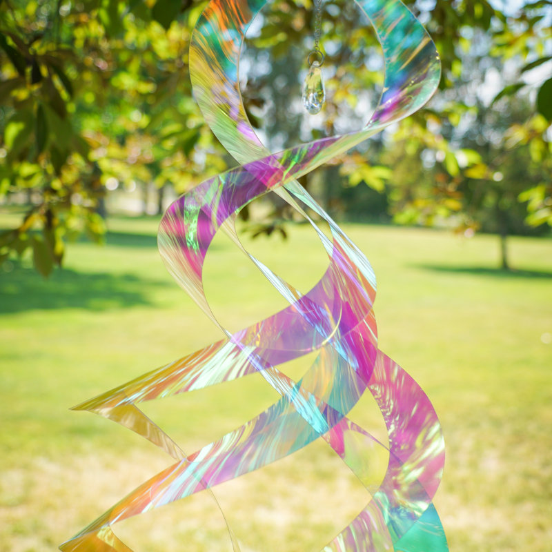 Iridescent Spin Quartet with Plastic Crystal