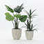Ensemble de pots à fleurs 2 pièces-1592487622