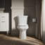 Highline 1.28 GPF Water Efficient Elongated Two-Piece toilet (Seat Not Included)-10978639-125075654-127660572