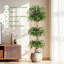 180 cm H Faux Plant
