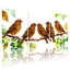 Oiseaux oiseaux perchés sur une branche avec raisins et feuilles, ensemble de 3 impressions sur toile-911915462