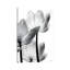 Debra Van Swearingen - Print on Canvas-101410437-101410439