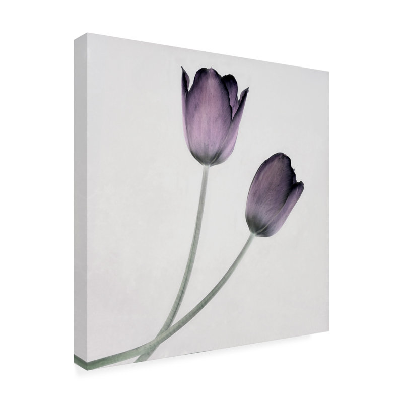 Art sur toile «Tulipe IV», H 14 po x l 14 po x P 2 po