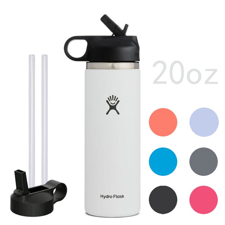 https://assets.wfcdn.com/im/08968816/resize-h755-w755%5Ecompr-r85/1733/173324609/Flybear+20oz.+Insulated+Stainless+Steel+Water+Bottle+Straw.jpg
