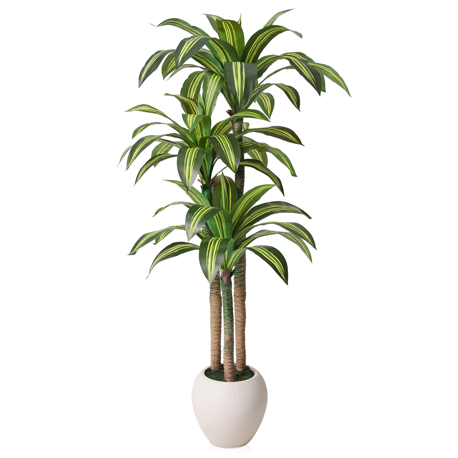 Romney Faux UV Resistant Dracaena Tree with White Tall Planter for Indoor Outdoor Home Decor, 72" H x 26" W