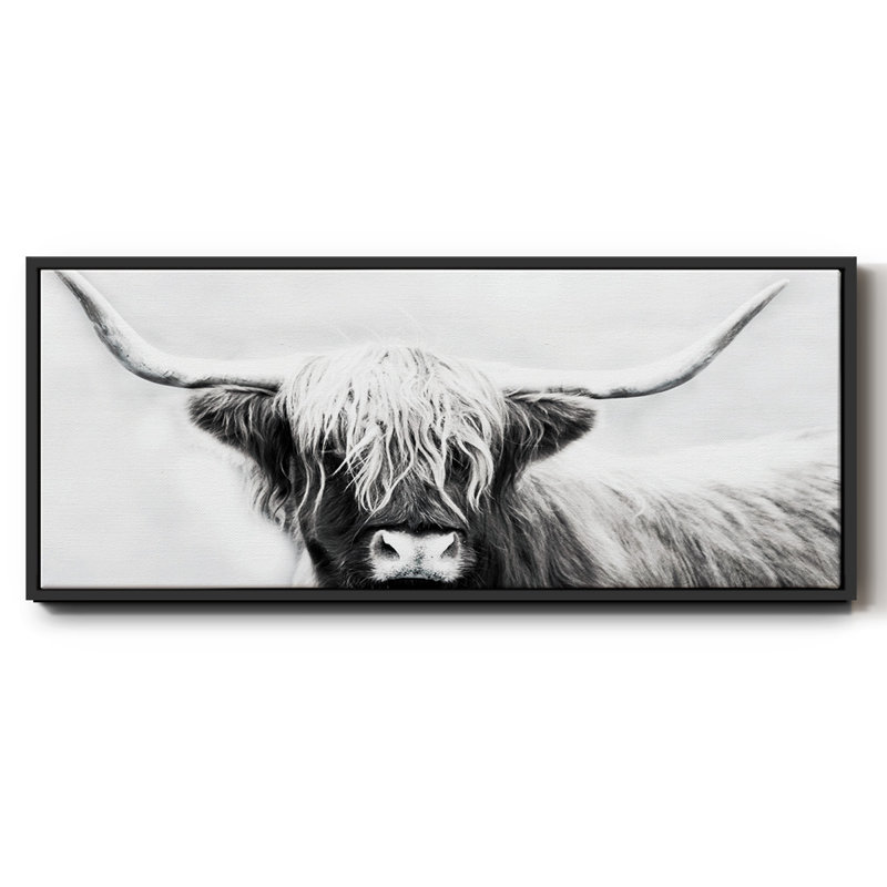 Highland Longhorn - toile encadrée, H 24 po x l 60 po