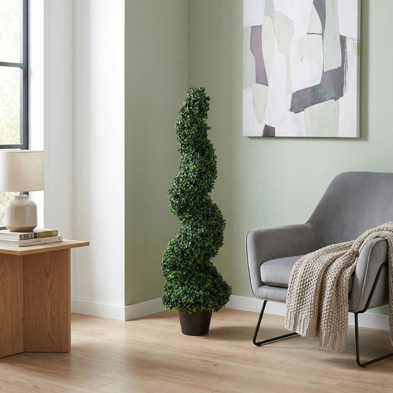 Plante topiaire en buis Darby Home Co