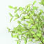 Branche d'eucalyptus artificiel 36 "pour remplisseur de vase, branche de feuillage de brindille de campagne brume un long bouquet en vrac pour les décorations de table de centre de table de bureau à domicile