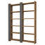 Alizeh 170cm H Standard Bookcase-1630313122