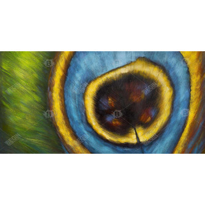 Peacock feather closeup - 15.75"x31.50" Desk mat