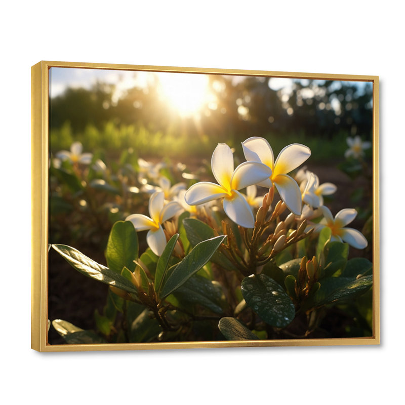 Jaune jaune blanc exotique Plumeria Blooms III sur toile, H 16 po x l 32 po x P 1 po, Cadre flottant doré