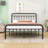 Assunta Metal Platform Bed with Headboard-794205388