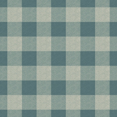 Washed Gingham