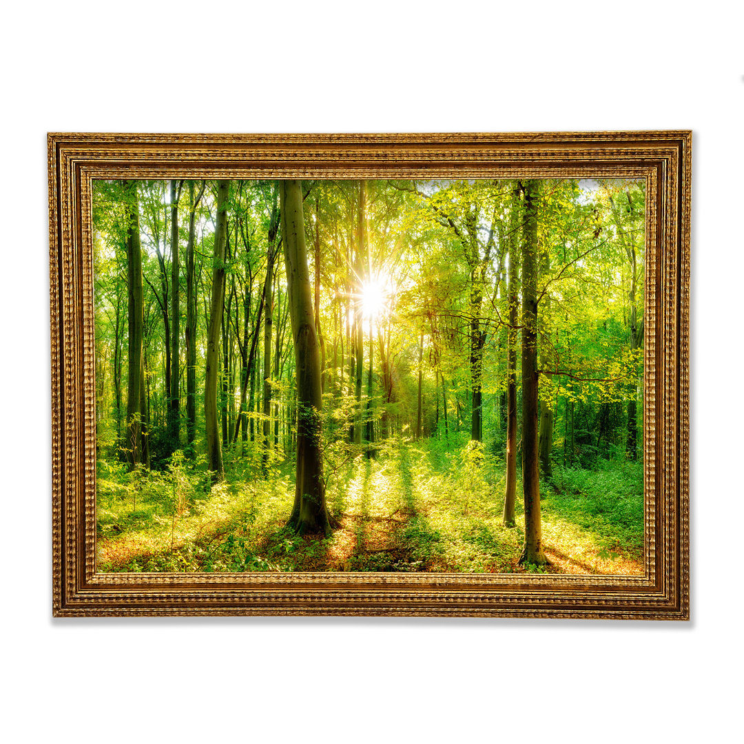 Green Forest Beauty - Einzelner Bilderrahmen Kunstdrucke