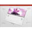 No Frame Painting-969225563
