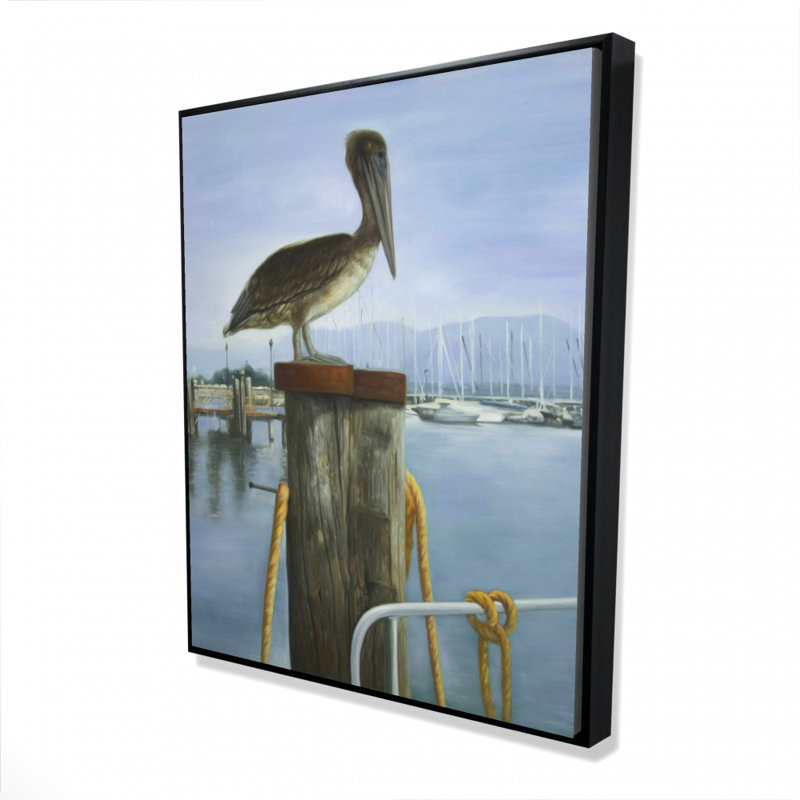 " Pelican "