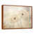 Brown Floater Framed
