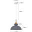 Luminaire suspendu simple à 1 lumière Gibran-1312792633