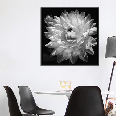 «White Dahlia II», impression sur toile