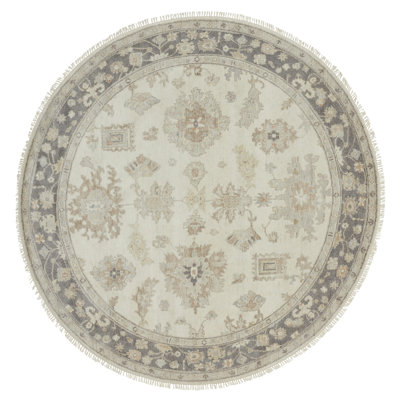 Premo Wool Oriental Area Rug in Ivory