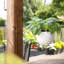 Pot à fleurs suspendu Wetumka-1000764644-1000764651
