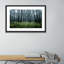 Eerie Trees IV Print by Jakob Wagner-48617439-48617434