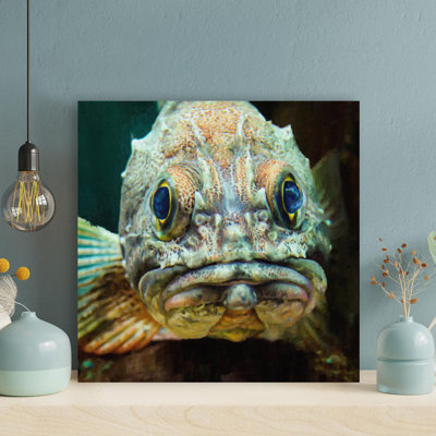 " An Ugly Fish With Big Eyes " Painting Print