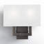Flaire 2 Light Steel Dimmable Flush Mounted Sconce-1702126679