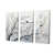 Toile tendue