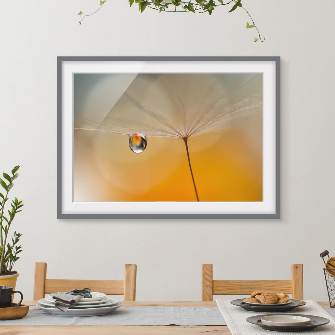 Gerahmtes Papierbild Pusteblume in Orange