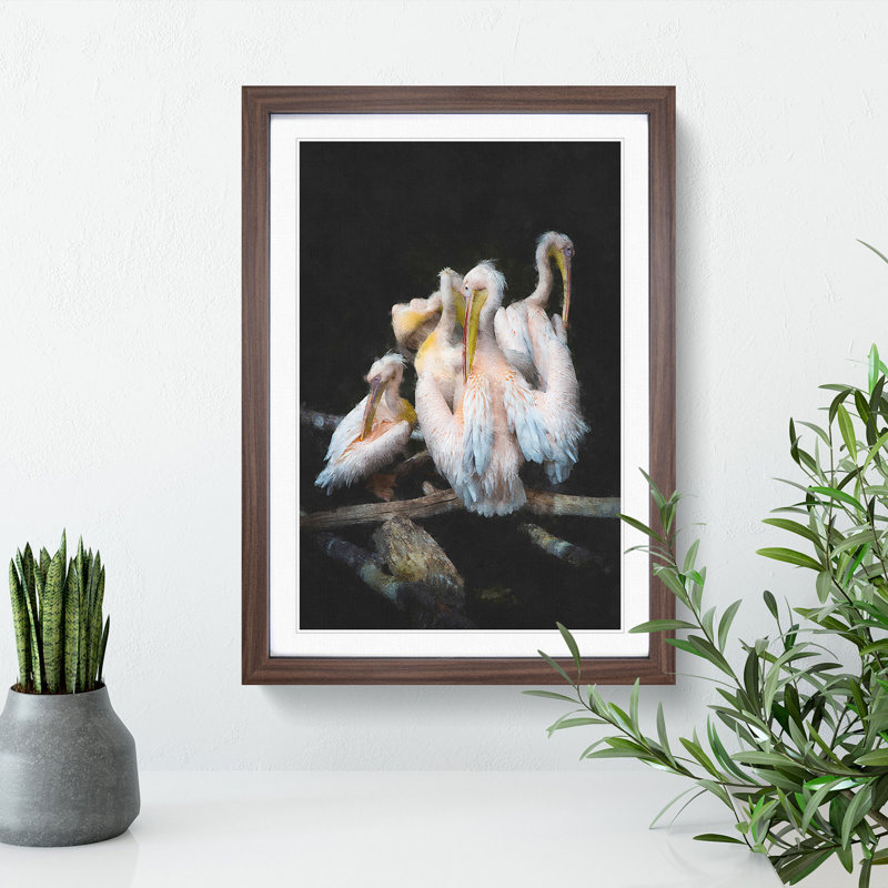 Pelicans - Framed Print, 65cm H x 48cm W x 2cm D, Walnut Framed