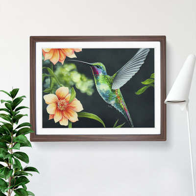 Hummingbird Vol.3 - Single Picture Frame Print