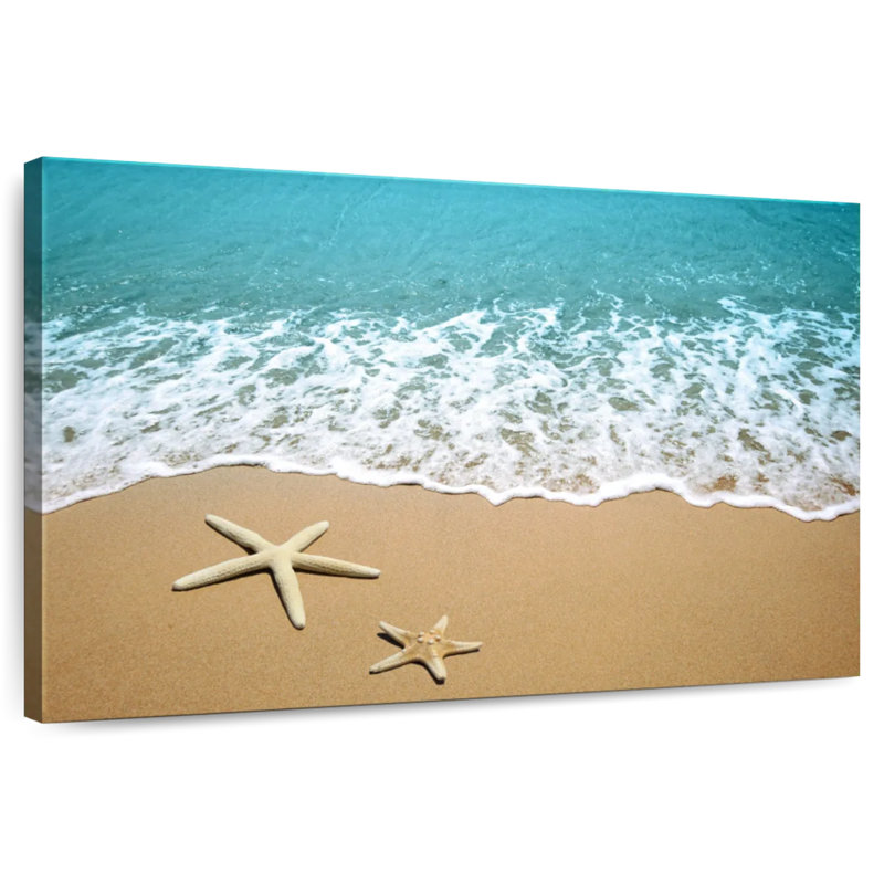Gillard Starfish Coast, H 20 po x l 30 po