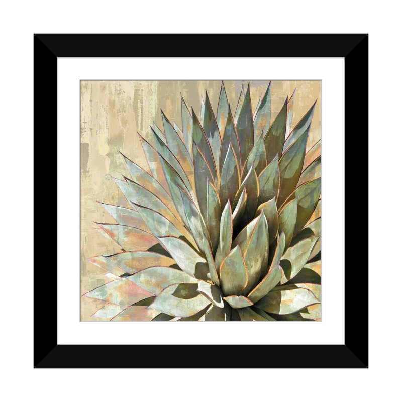 «Succulent I», impression sur toile, Papier beaux-arts encadré noir, Blanc, H 24 po x l 24 po x P 1 po