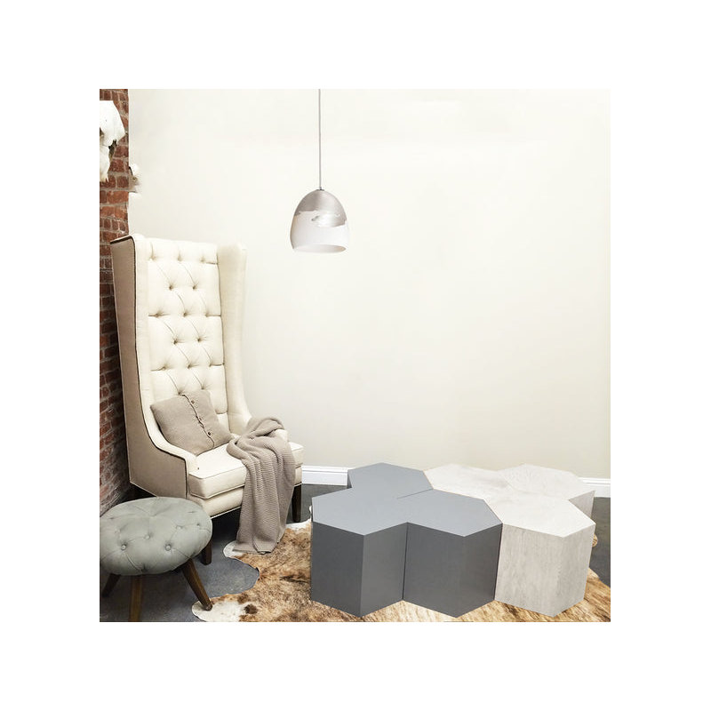 Architect 1 - Light Pendant, White & Nickel Ombre, LED Bulb Included, UL Listed for Dry Locations
