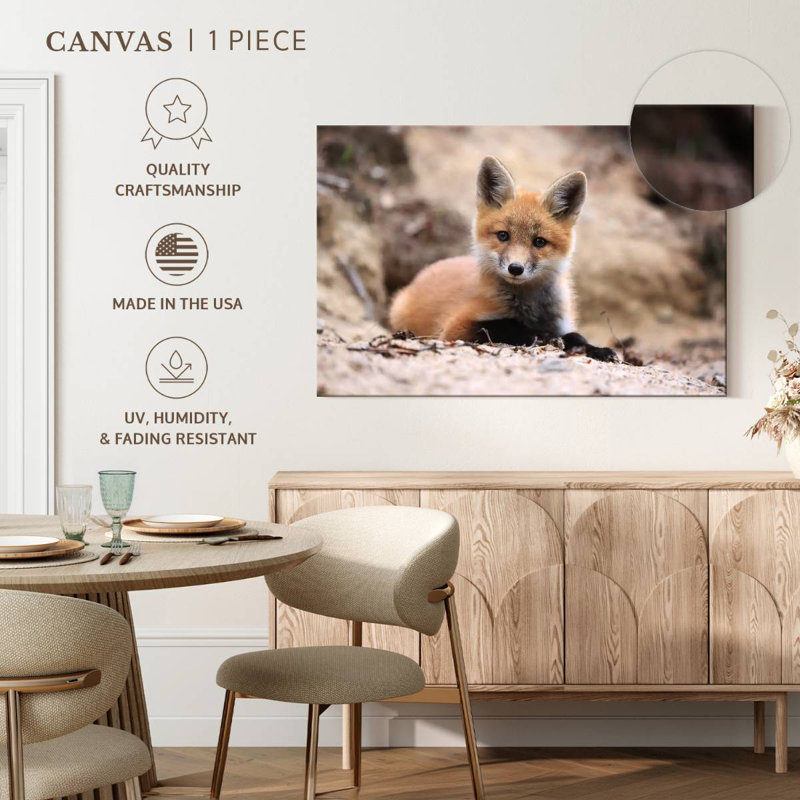 Petit renard brun, H 34 po x l 51 po