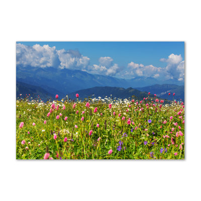 Meadow In The Mountains - Wrapped Canvas Print