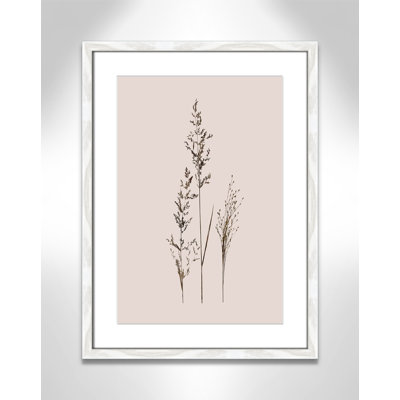 Delicate Stems I by Carol Robinson - Single Picture Frame Print -  Birch Lane™, C0F4C6ECF48146C5BBD2E11825BAE5C8