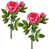 Rose Pink is out of stock