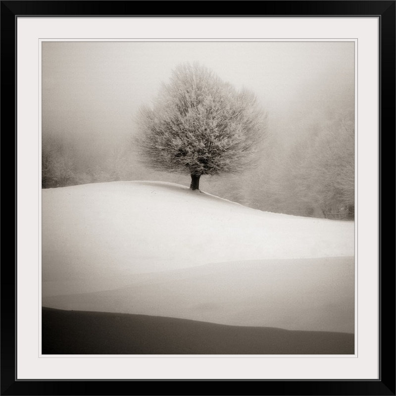 «Straub» Winter Dégraded, reproduction de photo, H 35 po x l 35 po x P 1,5 po, Toile