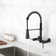 Dilon Pull Down Kitchen Faucet