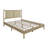 Paitynn Platform Bed-1002614370-1002614396