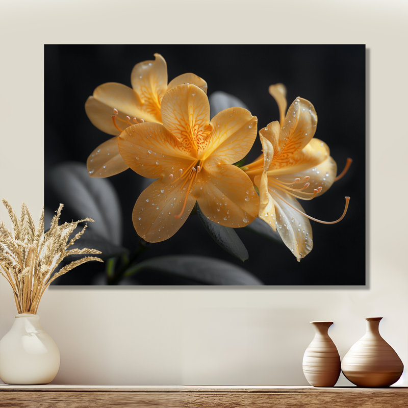 Rhododendron jaune et noir «Midnight Bloom I» - impression d'art mural rhododendron, Toile tendue, H 34 po x l 44 po